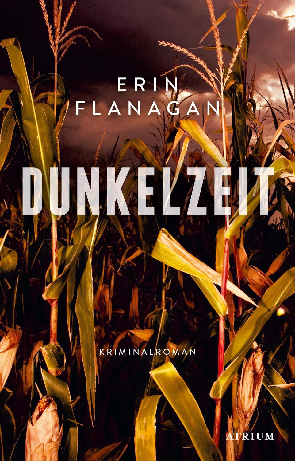 Cover: 9783855351459 | Dunkelzeit | Erin Flanagan | Buch | Deutsch | 2023 | Atrium Verlag