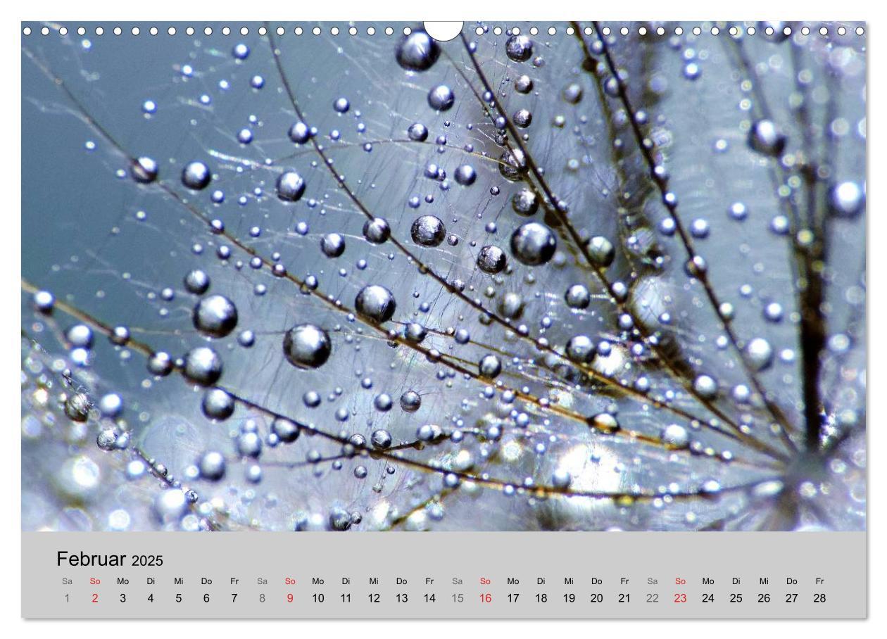 Bild: 9783435746620 | Naturjuwel Pusteblume (Wandkalender 2025 DIN A3 quer), CALVENDO...