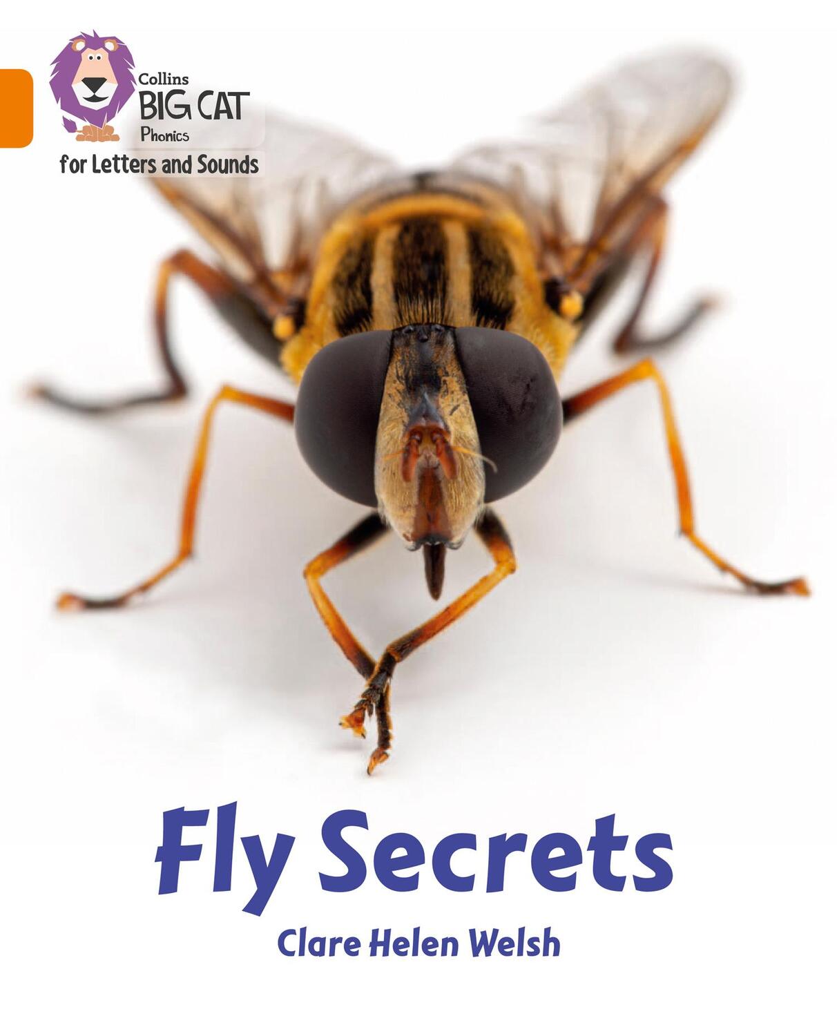 Cover: 9780008373344 | Fly Secrets | Band 06/Orange | Clare Helen Welsh | Taschenbuch | 2020