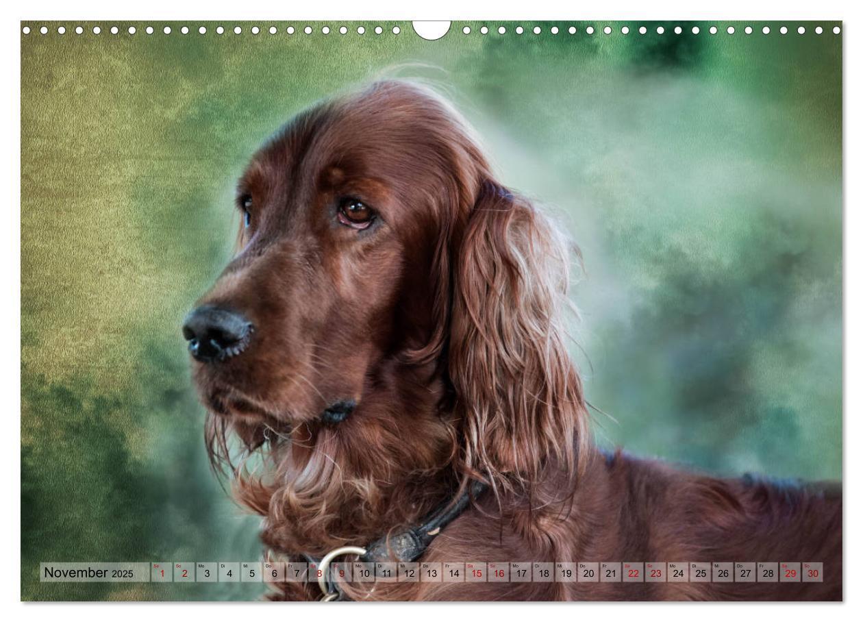 Bild: 9783435293933 | Jagdhunde im Portrait (Wandkalender 2025 DIN A3 quer), CALVENDO...