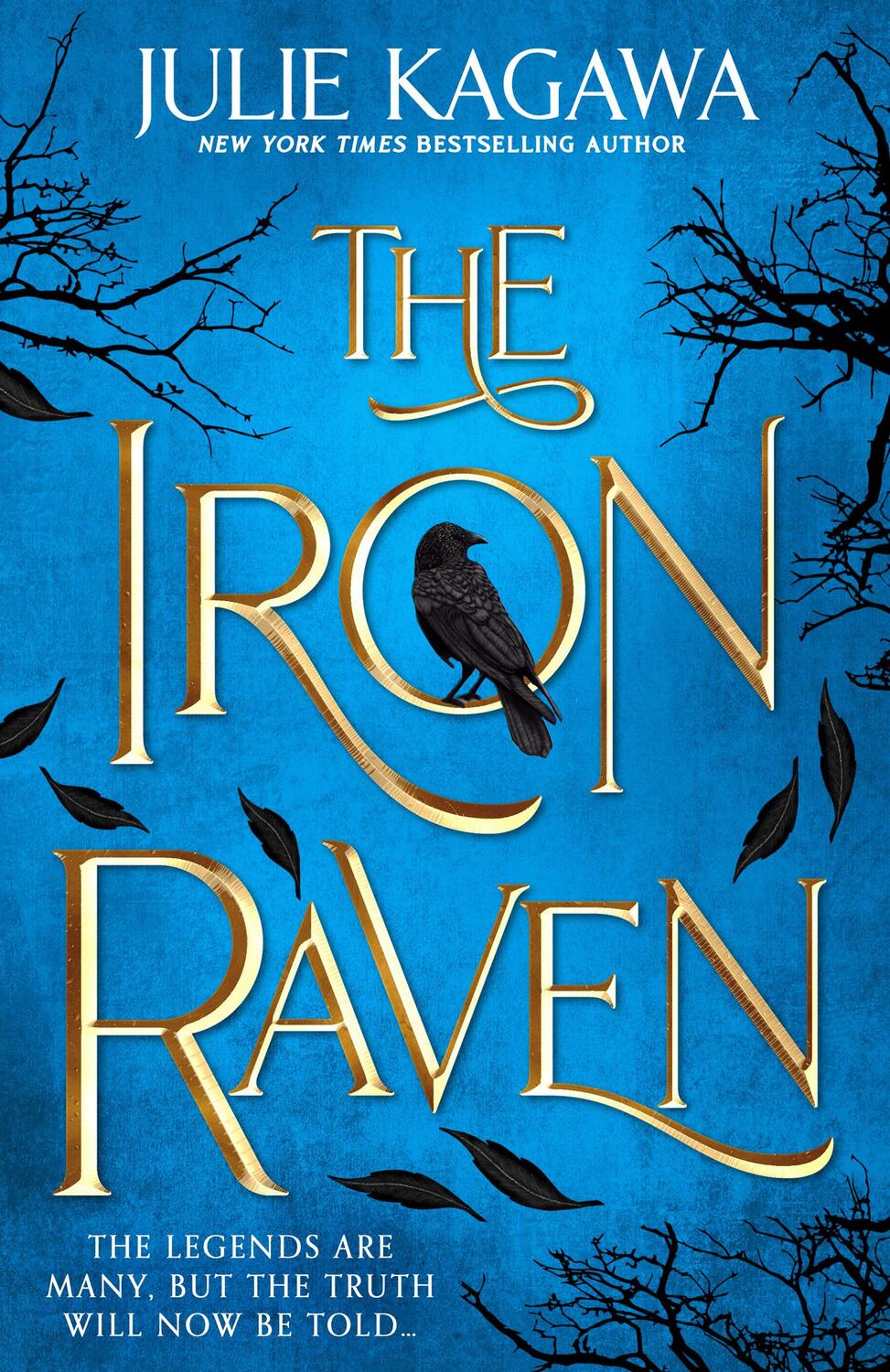 Cover: 9781848458284 | The Iron Raven | Julie Kagawa | Taschenbuch | The Iron Fey: Evenfall