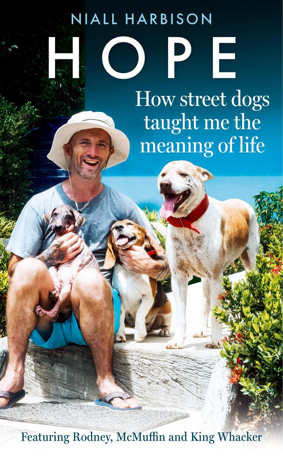 Cover: 9780008627218 | Hope - How Street Dogs Taught Me the Meaning of Life | Niall Harbison