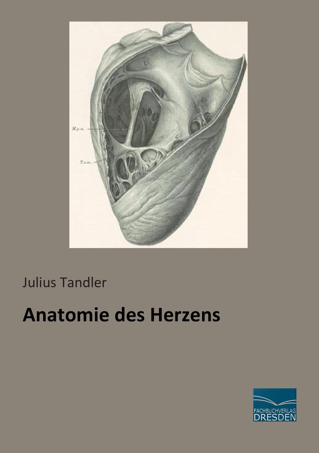 Cover: 9783956927355 | Anatomie des Herzens | Julius Tandler | Taschenbuch | Paperback | 2015
