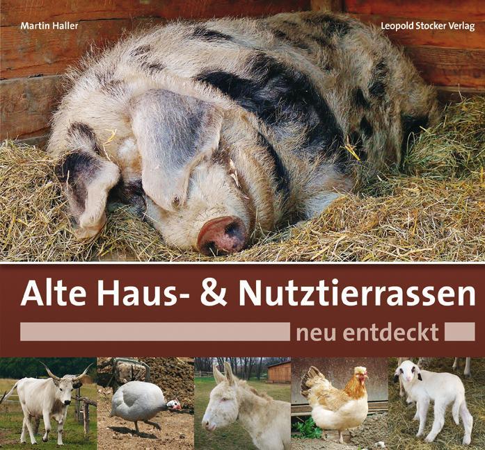 Cover: 9783702015121 | Alte Haus- & Nutztierrassen neu entdeckt | Martin Haller | Buch | 2015