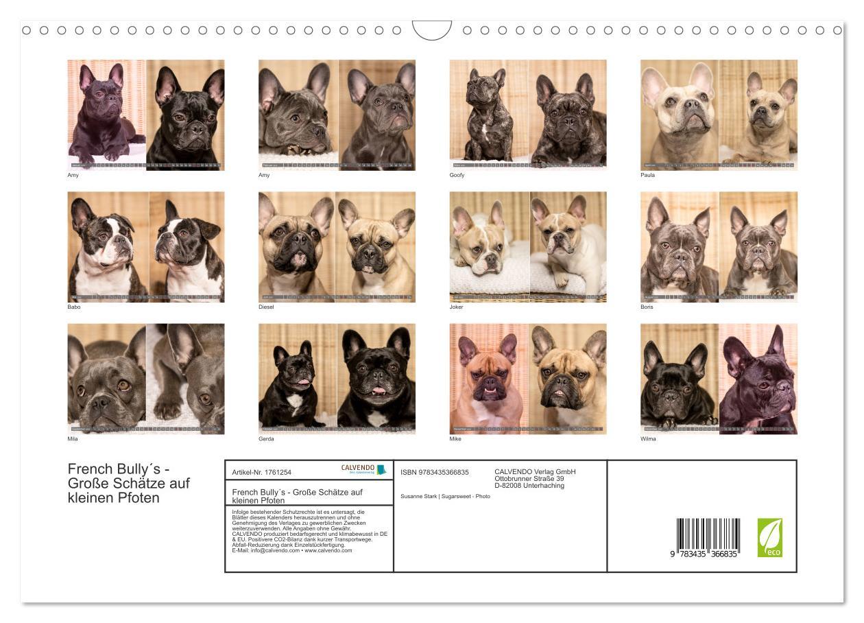 Bild: 9783435366835 | French Bully´s - Große Schätze auf kleinen Pfoten (Wandkalender...