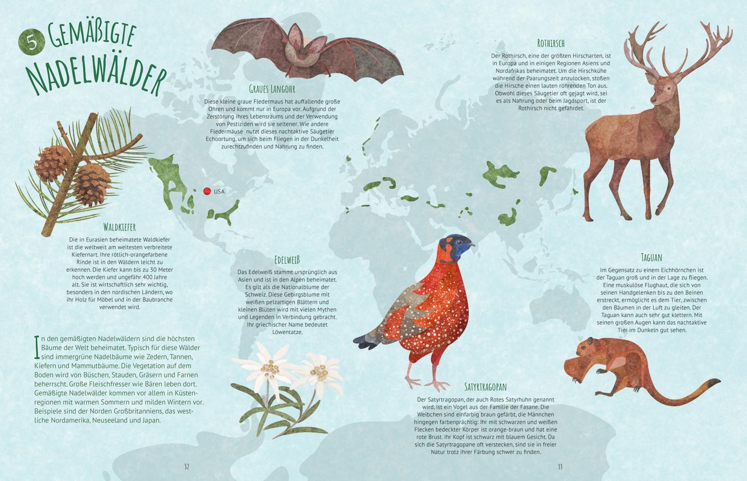 Bild: 9783788676261 | Biome der Welt | Juliana Aschwanden-Vilaça | Buch | 96 S. | Deutsch