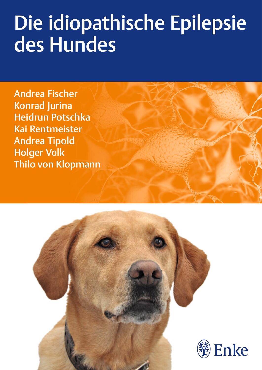 Cover: 9783830412656 | Die idiopathische Epilepsie des Hundes | Andrea Fischer (u. a.) | Buch