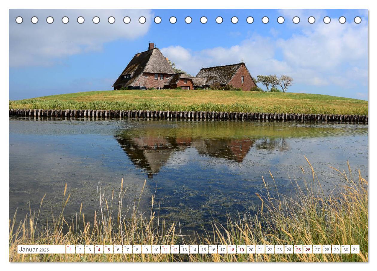 Bild: 9783435255801 | Sommertage auf Hallig Hooge (Tischkalender 2025 DIN A5 quer),...