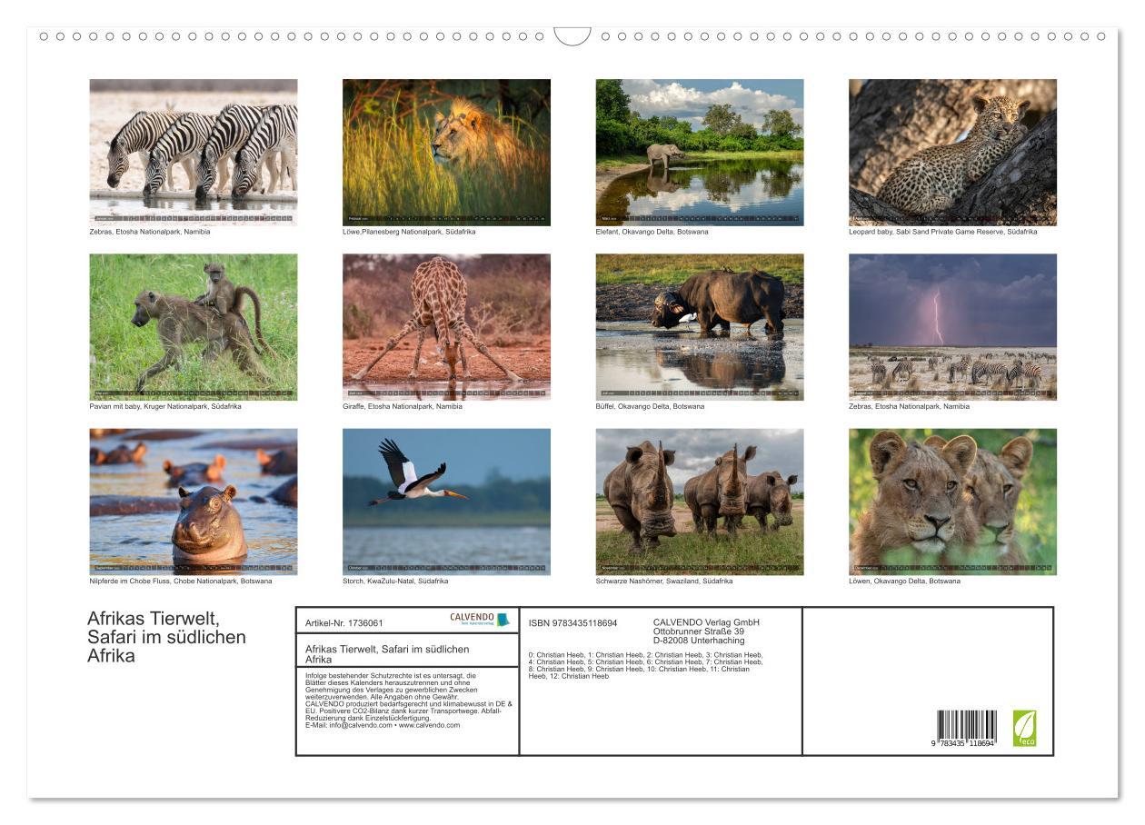 Bild: 9783435118694 | Afrikas Tierwelt, Safari im südlichen Afrika (Wandkalender 2025 DIN...