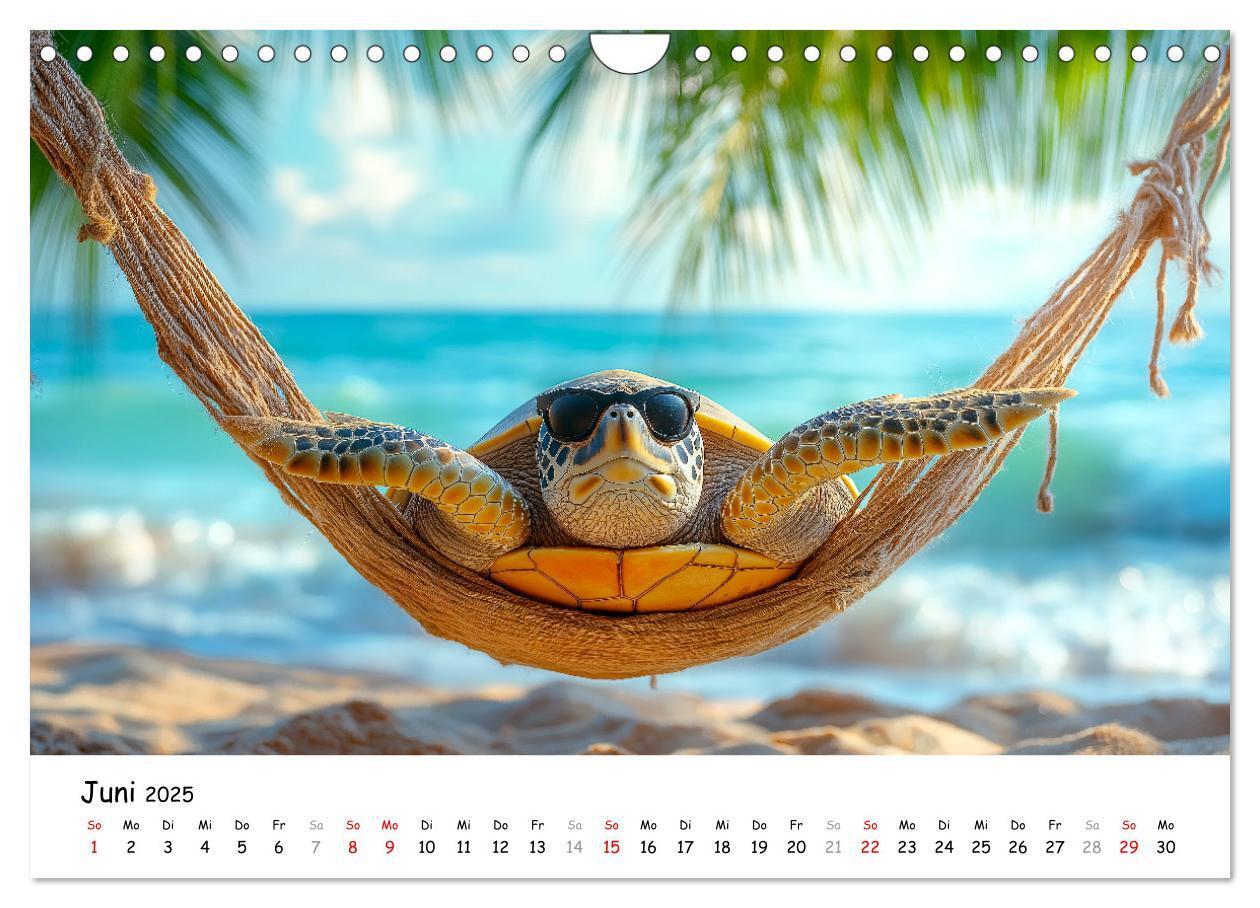 Bild: 9783457215784 | CHILL MAL - Entspannte Schildkröten beim Faulenzen (Wandkalender...