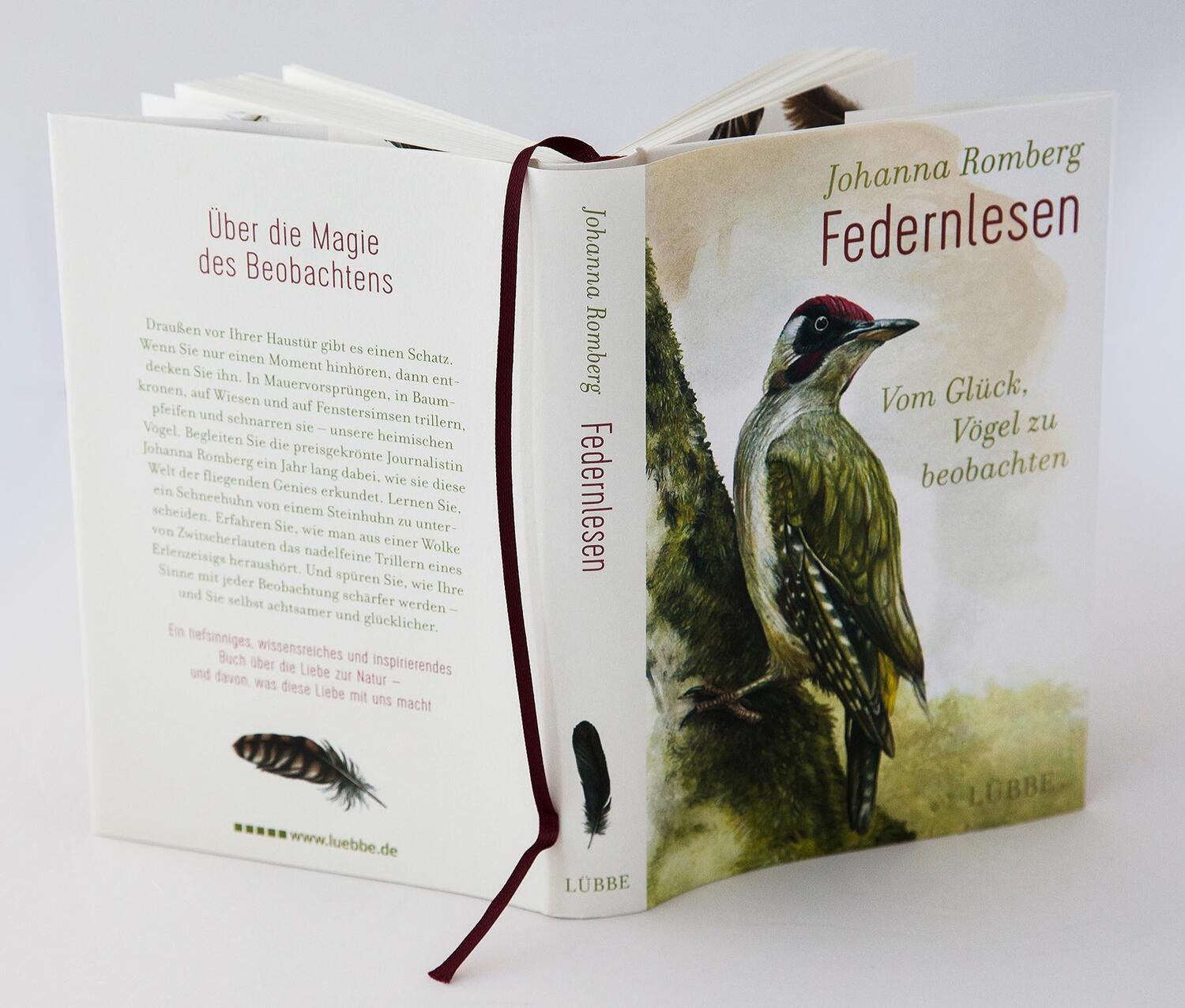 Bild: 9783431040883 | Federnlesen | Vom Glück, Vögel zu beobachten | Johanna Romberg | Buch