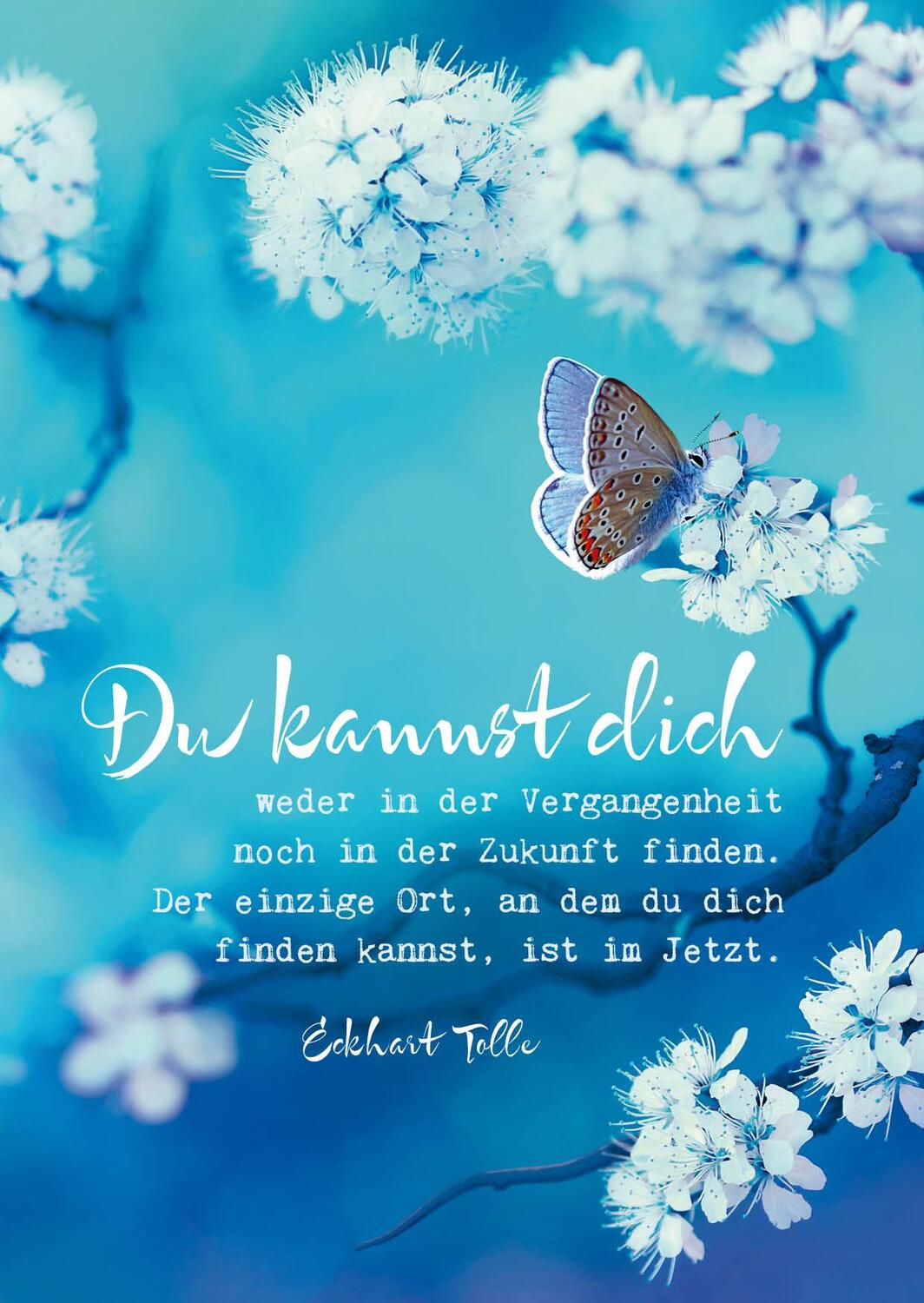 Cover: 4260398511441 | Eckhart Tolle Postkarten "Du kannst dich" | VE 10 | Eckhart Tolle