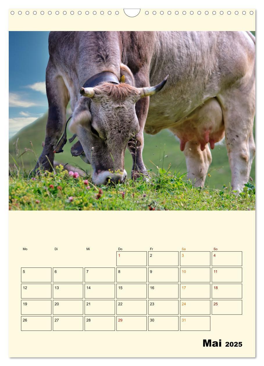 Bild: 9783435903993 | Glückliche Bergkühe (Wandkalender 2025 DIN A3 hoch), CALVENDO...