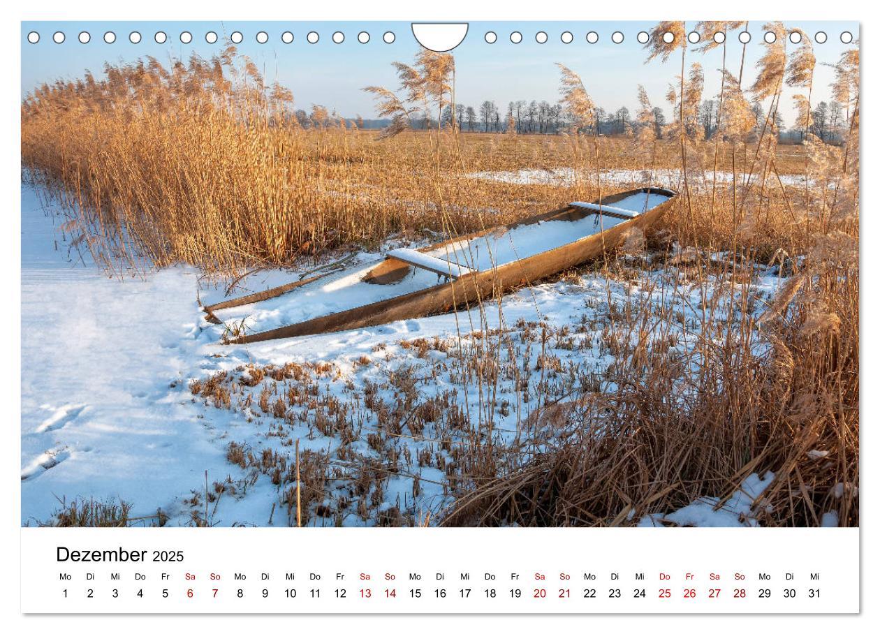 Bild: 9783435201105 | Unterwegs im Spreewald (Wandkalender 2025 DIN A4 quer), CALVENDO...