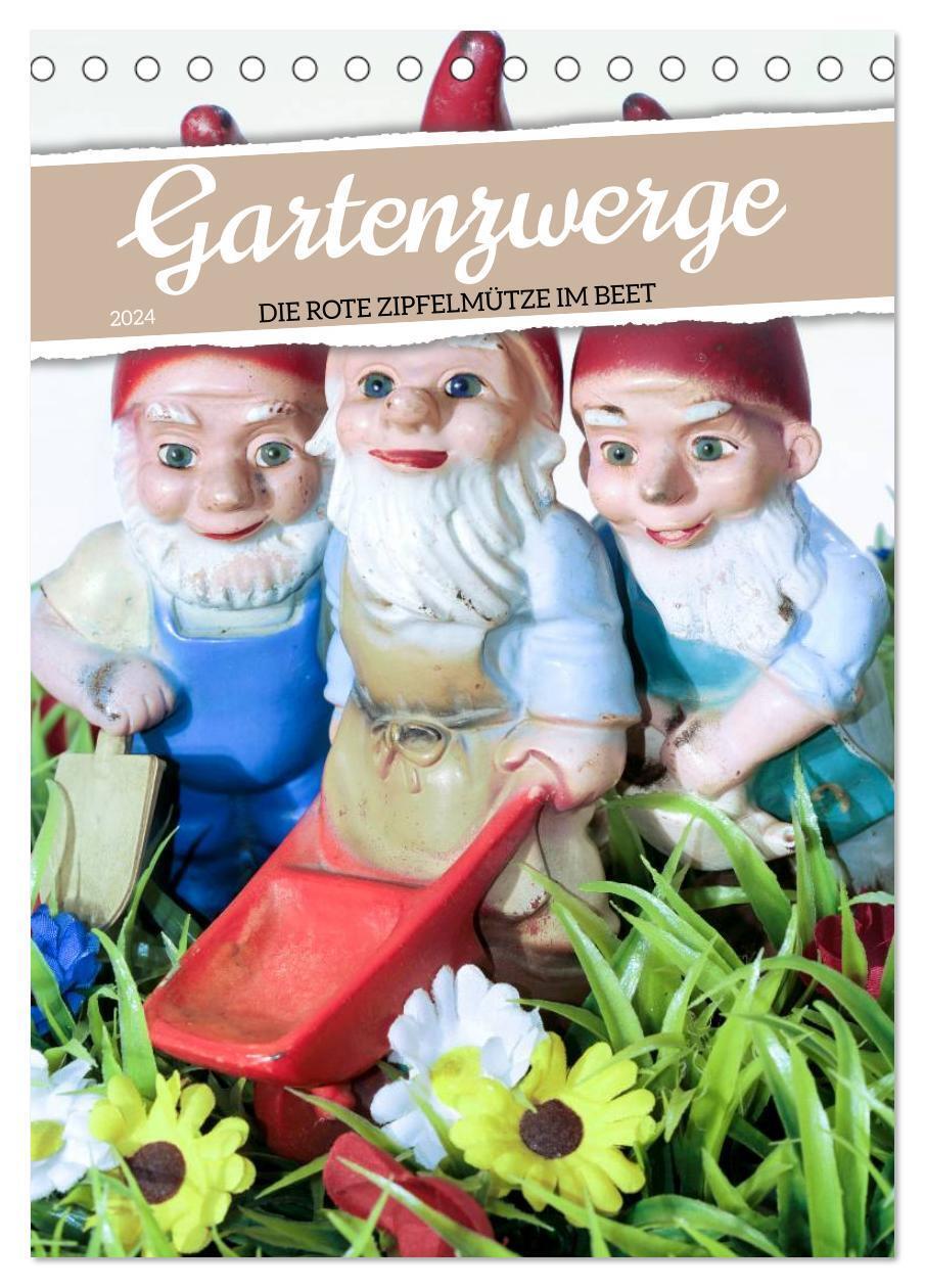 Cover: 9783675536746 | Gartenzwerge: Die rote Zipfelmütze im Beet (Tischkalender 2024 DIN...