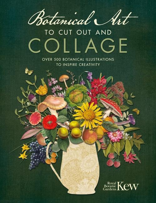 Cover: 9781446309933 | Botanical Art to Cut Out and Collage | Kew Royal Botanic Gardens