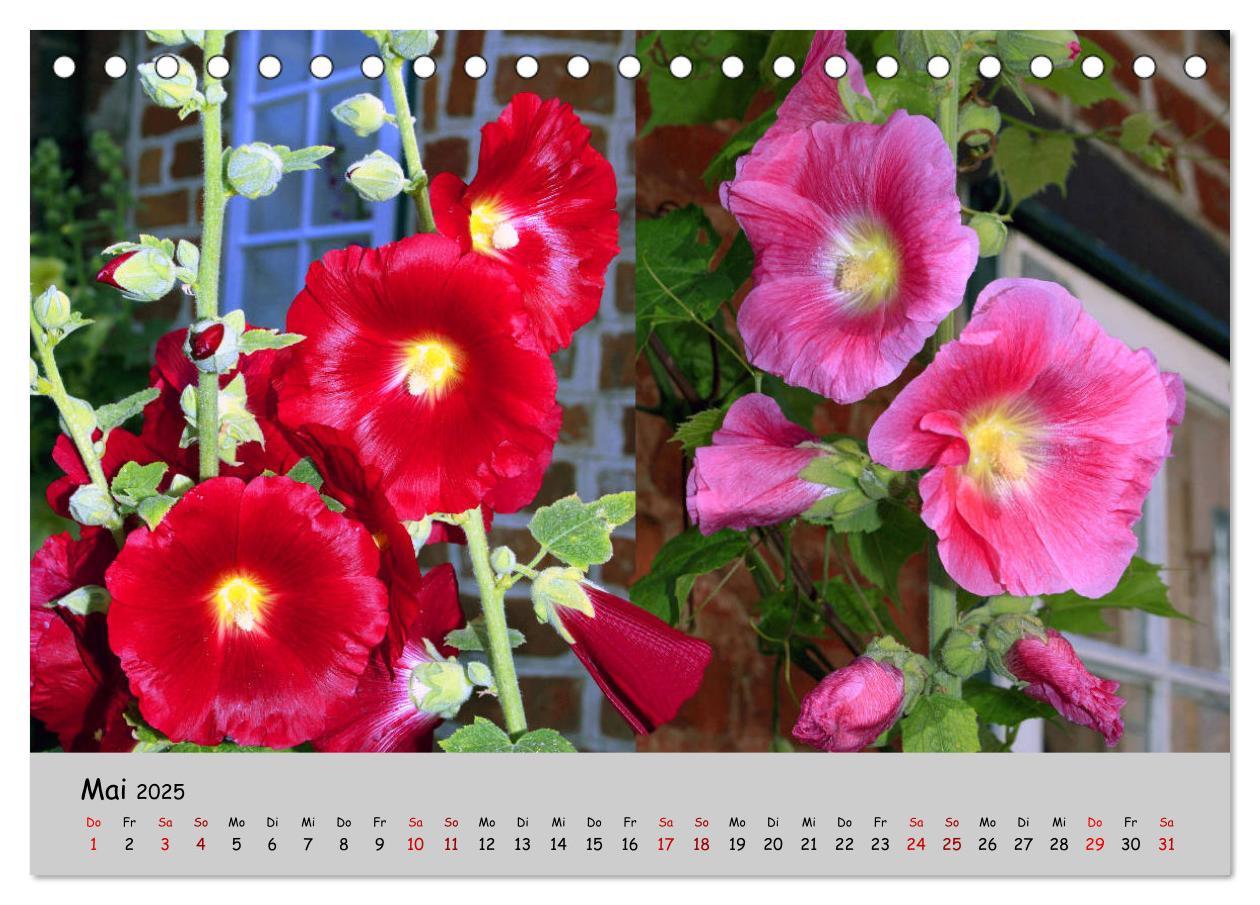 Bild: 9783435227211 | Blumen überall, zur Freude Menschen (Tischkalender 2025 DIN A5...