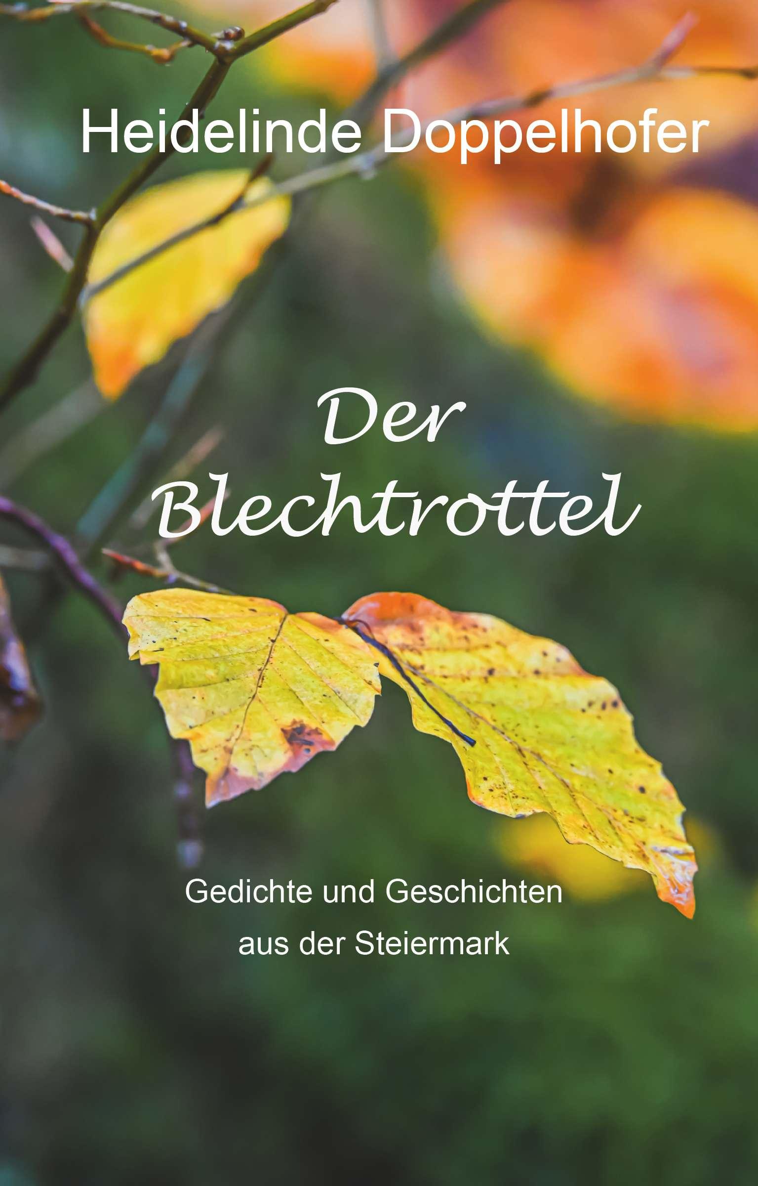 Cover: 9783991658092 | Der Blechtrottel | Gedichte und Geschichten aus der Steiermark | Buch