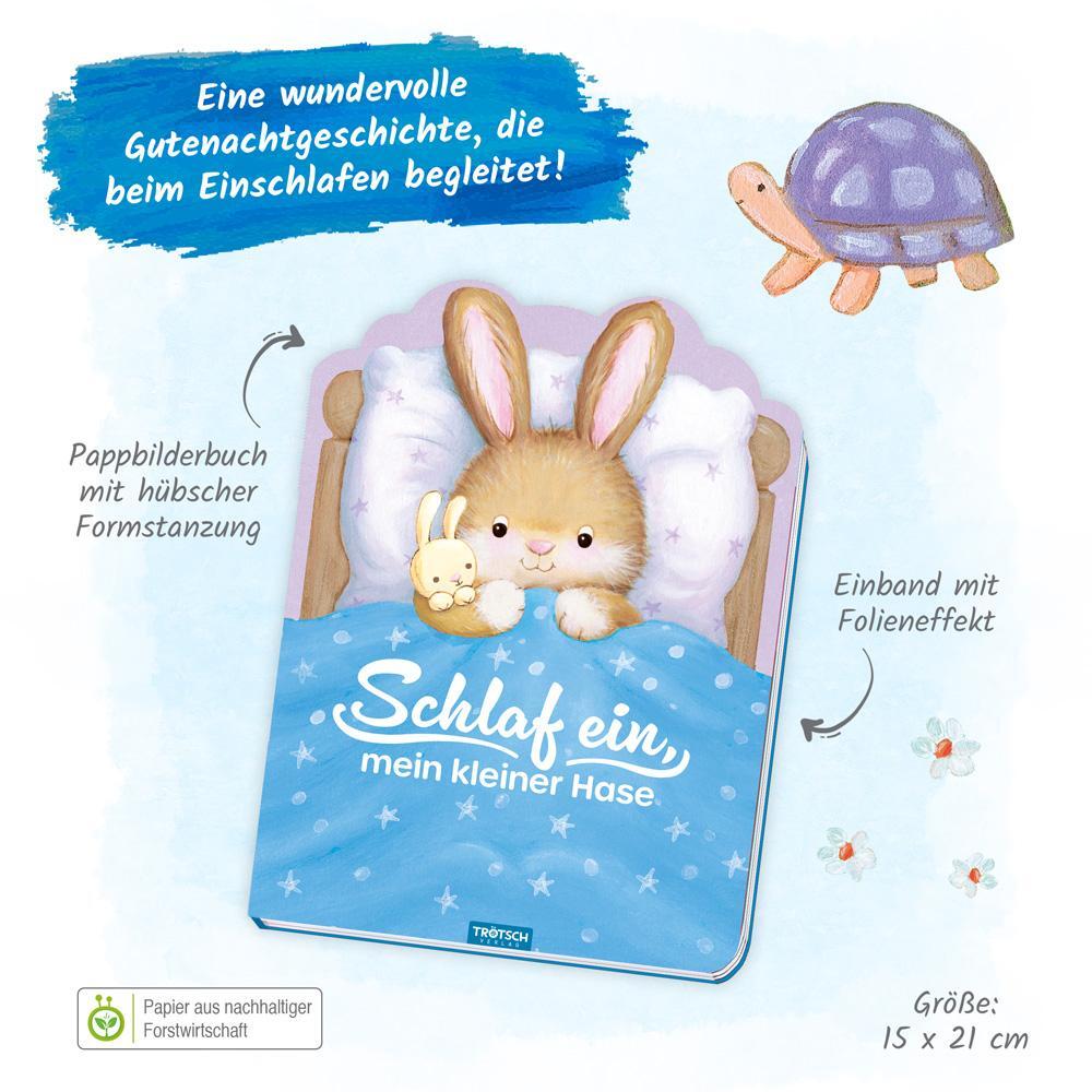 Bild: 9783988020543 | Trötsch Pappenbuch Schlaf ein, mein kleiner Hase | Trötsch Verlag