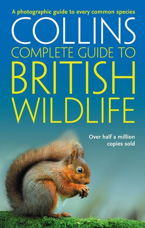 Cover: 9780007236831 | British Wildlife | A Photographic Guide to Every Common Species | Buch