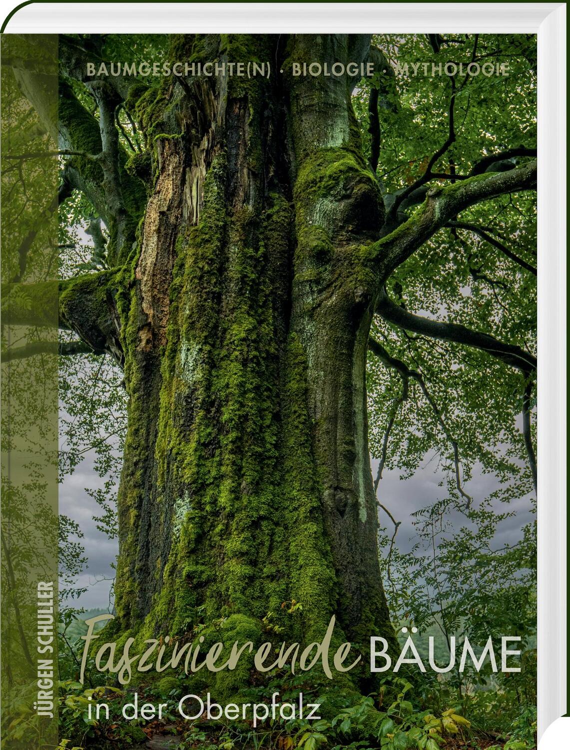 Cover: 9783955870942 | Faszinierende Bäume in der Oberpfalz | Jürgen Schuller | Buch | 176 S.