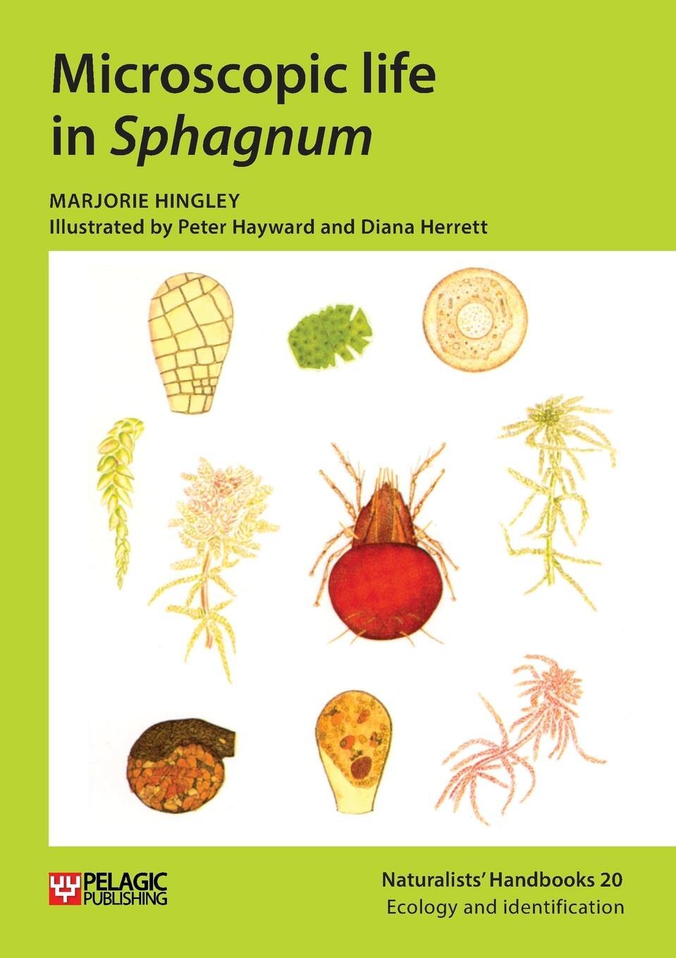 Cover: 9781784272739 | Microscopic life in Sphagnum | Marjorie Hingley | Taschenbuch | 2021
