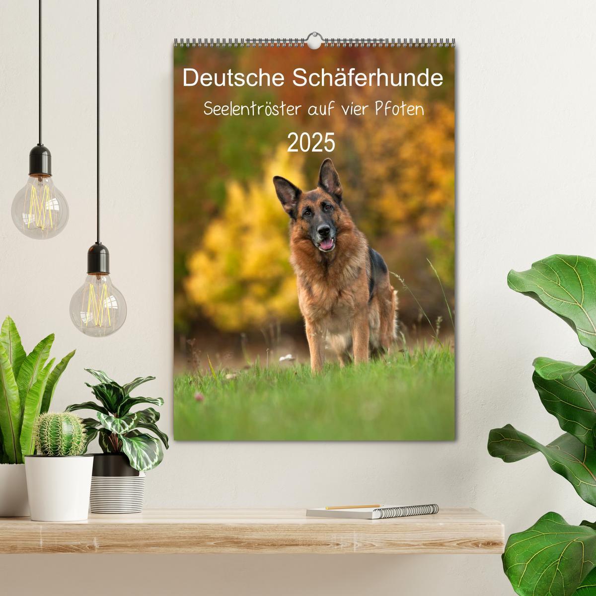 Bild: 9783457025895 | Deutsche Schäferhunde - Seelentröster auf vier Pfoten (Wandkalender...