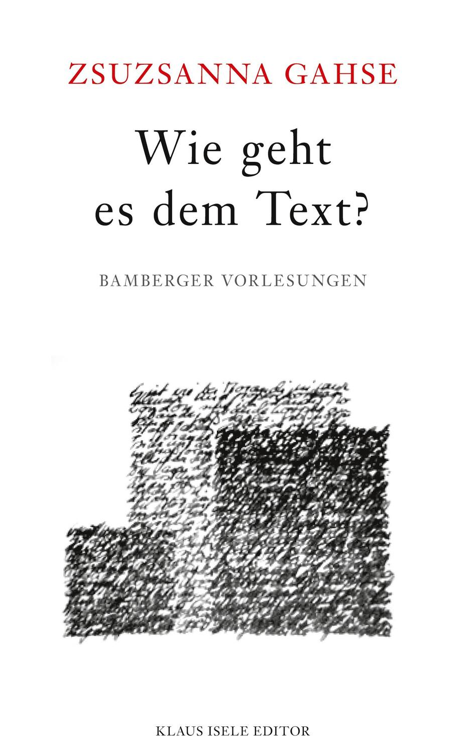 Cover: 9783756220953 | Wie geht es dem Text? | Bamberger Vorlesungen | Zsuzsanna Gahse | Buch
