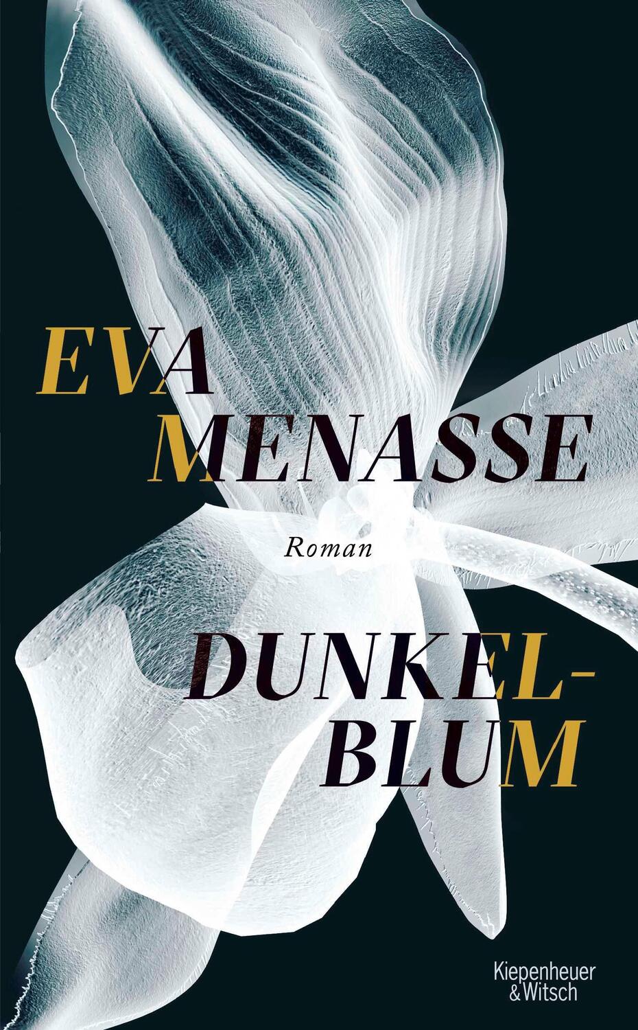 Cover: 9783462047905 | Dunkelblum | Roman | Eva Menasse | Buch | 528 S. | Deutsch | 2021