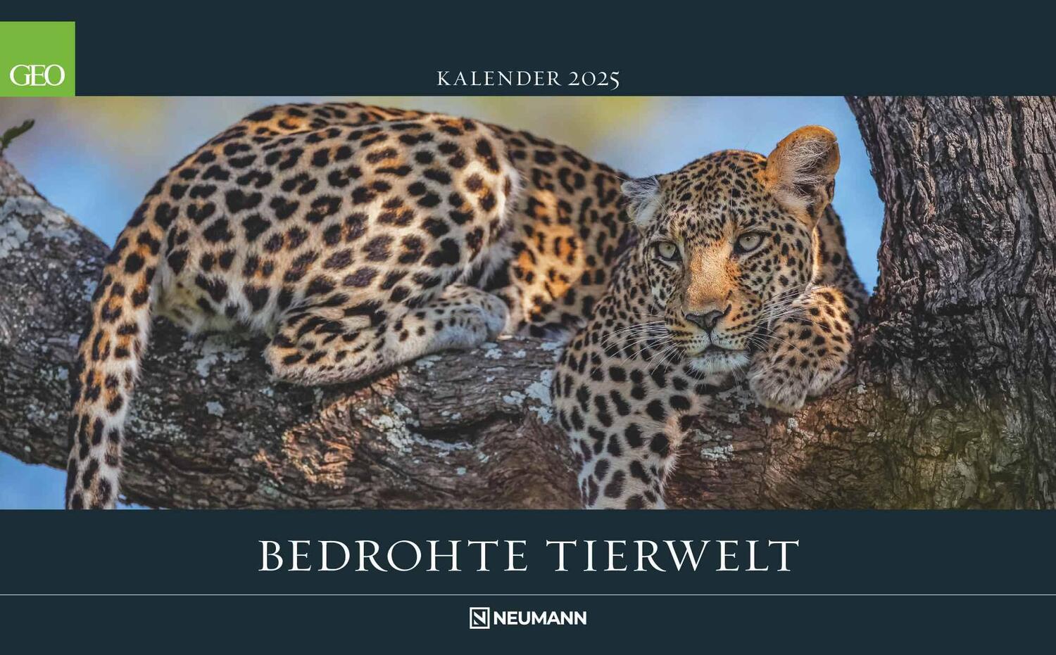 Cover: 4002725988645 | GEO Bedrohte Tierwelt 2025 - Wand-Kalender - Tier-Kalender -...