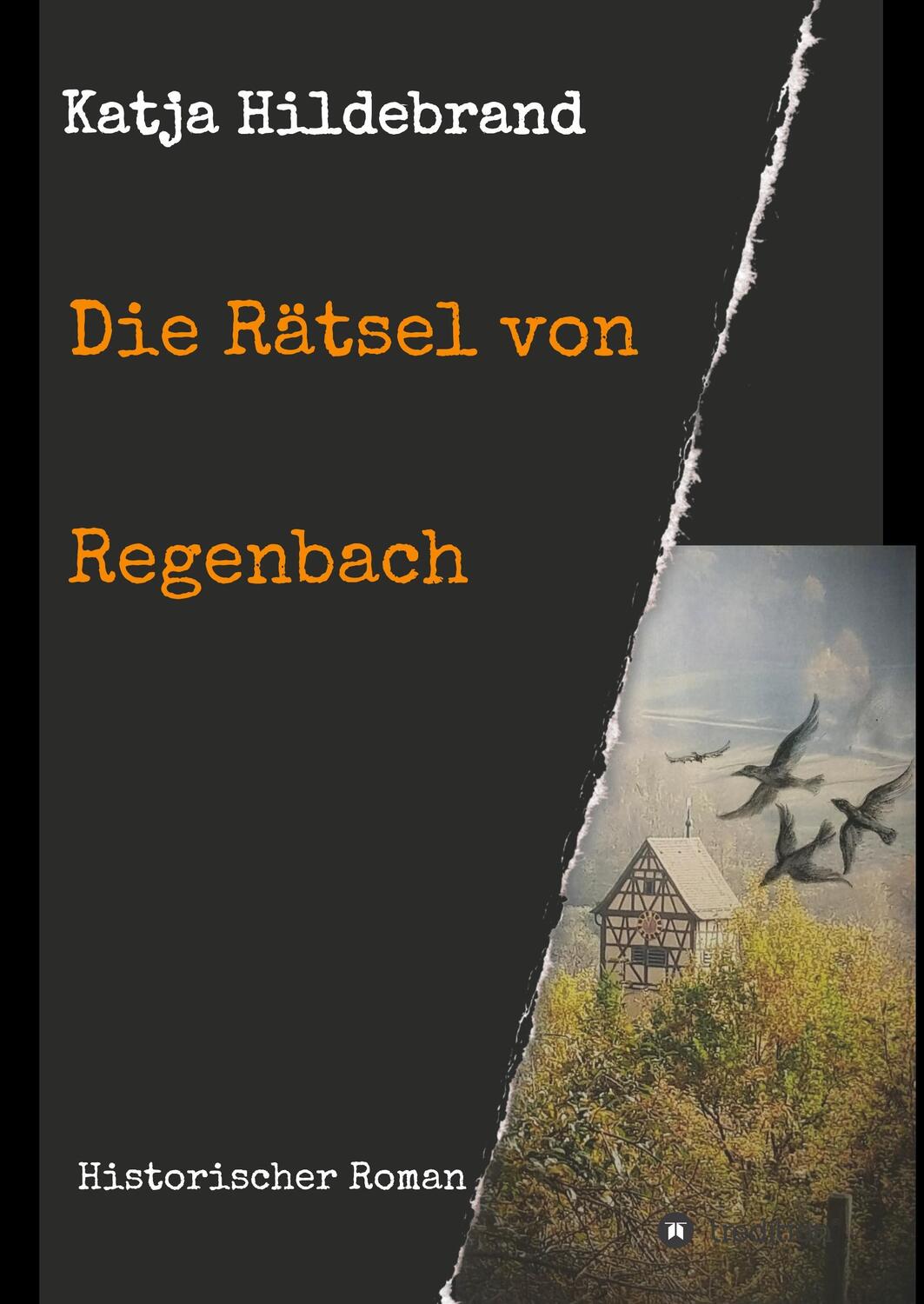 Cover: 9783749768158 | Die Rätsel von Regenbach | Katja Hildebrand | Buch | 240 S. | Deutsch