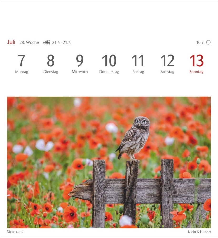 Bild: 9783840034213 | Heimische Vögel Postkartenkalender 2025 - Wochenkalender mit 53...