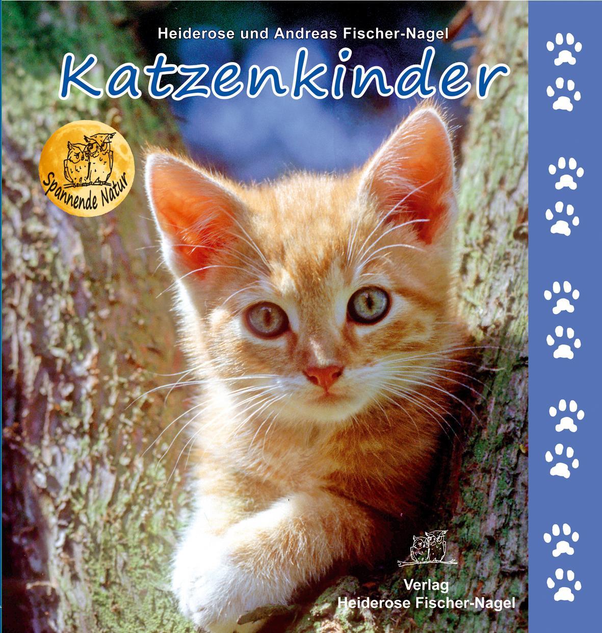 Cover: 9783930038312 | Katzenkinder | Heiderose Fischer-Nagel (u. a.) | Buch | Deutsch | 2013