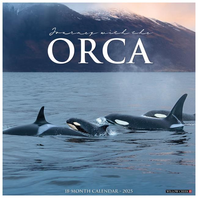 Cover: 9781549244292 | Orca (Journey with The) 2025 12 X 12 Wall Calendar | Press | Kalender