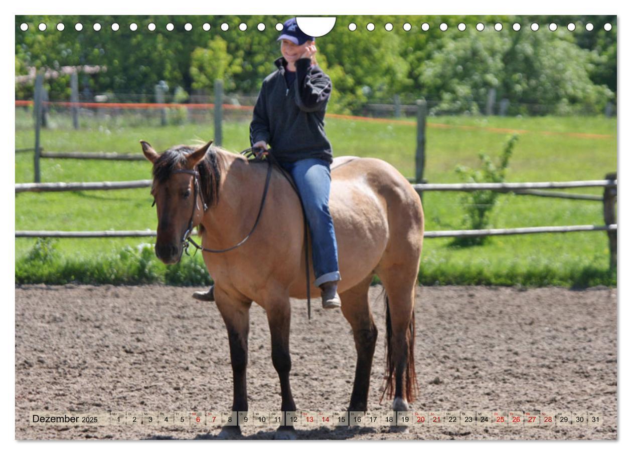 Bild: 9783435412143 | Quarter Horses - Die größte Zuchtbuchrasse der Welt (Wandkalender...