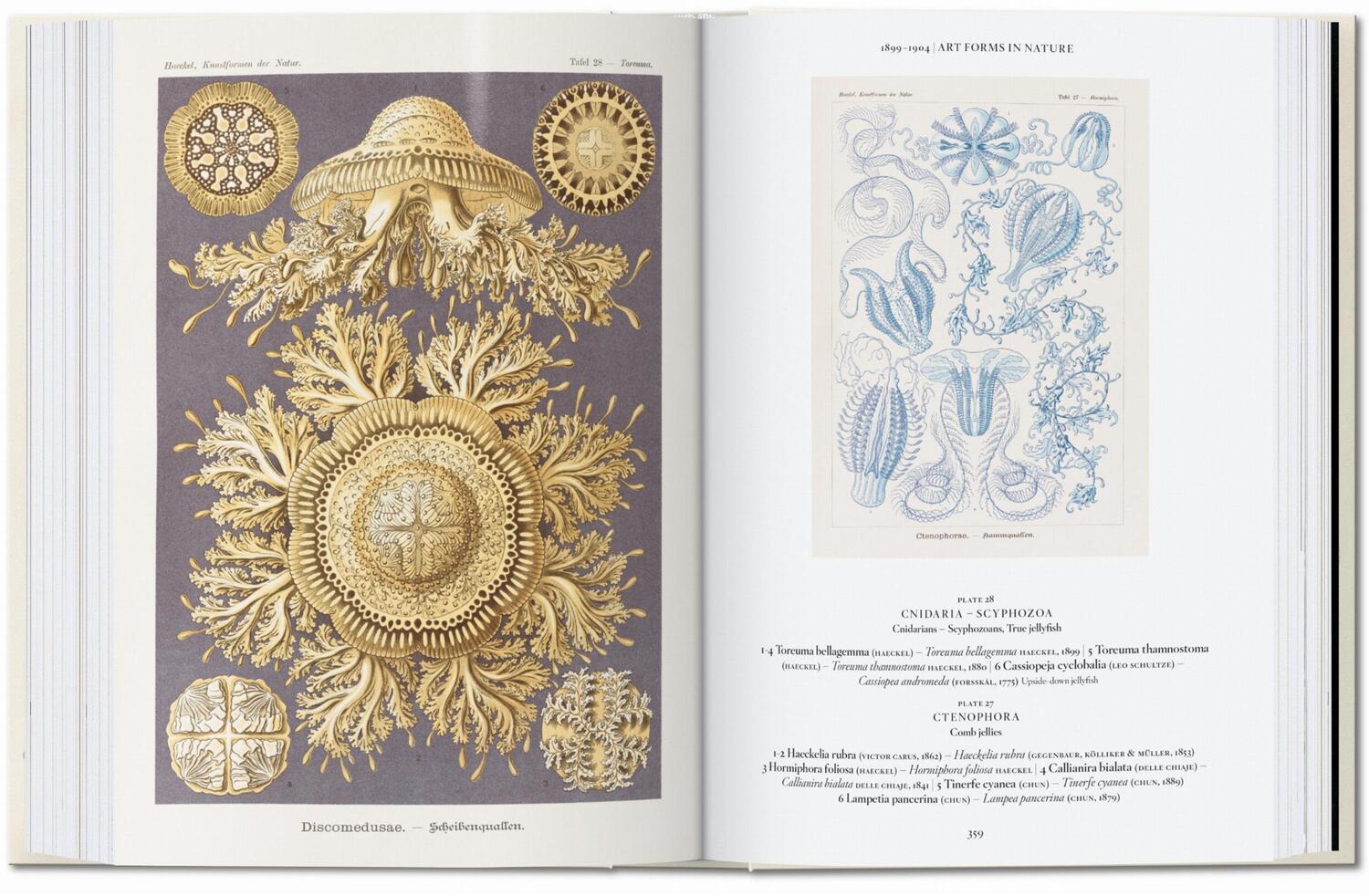Bild: 9783836584265 | Ernst Haeckel. Kunst und Wissenschaft. 40th Ed. | Julia Voss (u. a.)