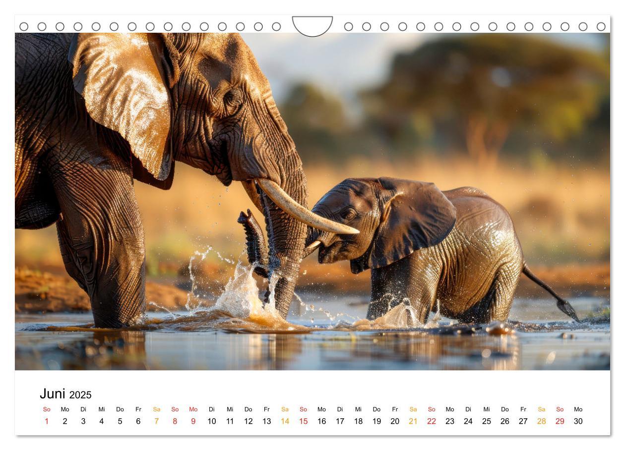 Bild: 9783457240465 | Elefanten - Riesen der Wildnis (Wandkalender 2025 DIN A4 quer),...