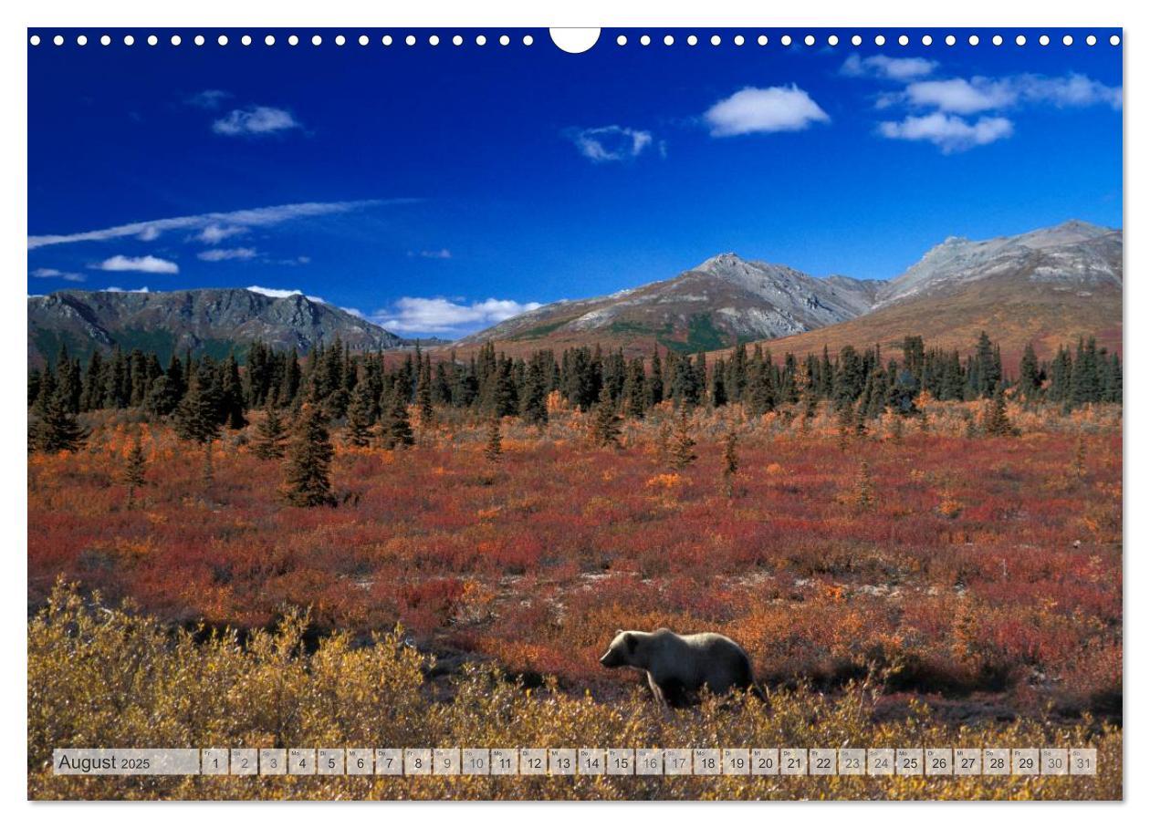 Bild: 9783435710515 | Wildes Alaska Christian Heeb (Wandkalender 2025 DIN A3 quer),...