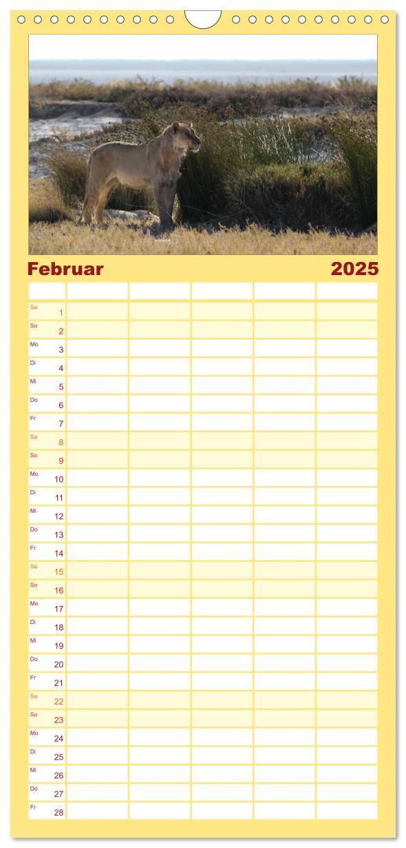 Bild: 9783457114551 | Familienplaner 2025 - Wildes Namibia mit 5 Spalten (Wandkalender,...