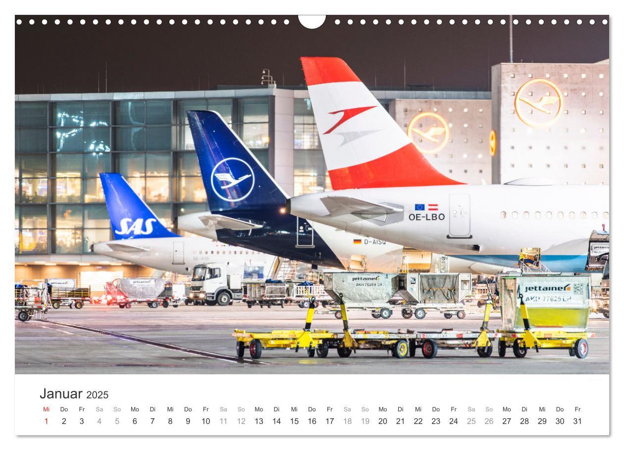 Bild: 9783383925139 | die FREIHEIT des FLIEGENS (Wandkalender 2025 DIN A3 quer), CALVENDO...