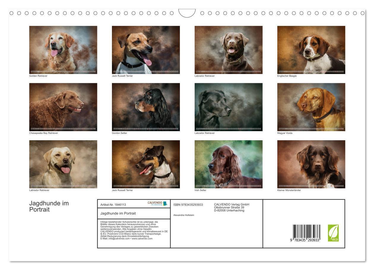 Bild: 9783435293933 | Jagdhunde im Portrait (Wandkalender 2025 DIN A3 quer), CALVENDO...