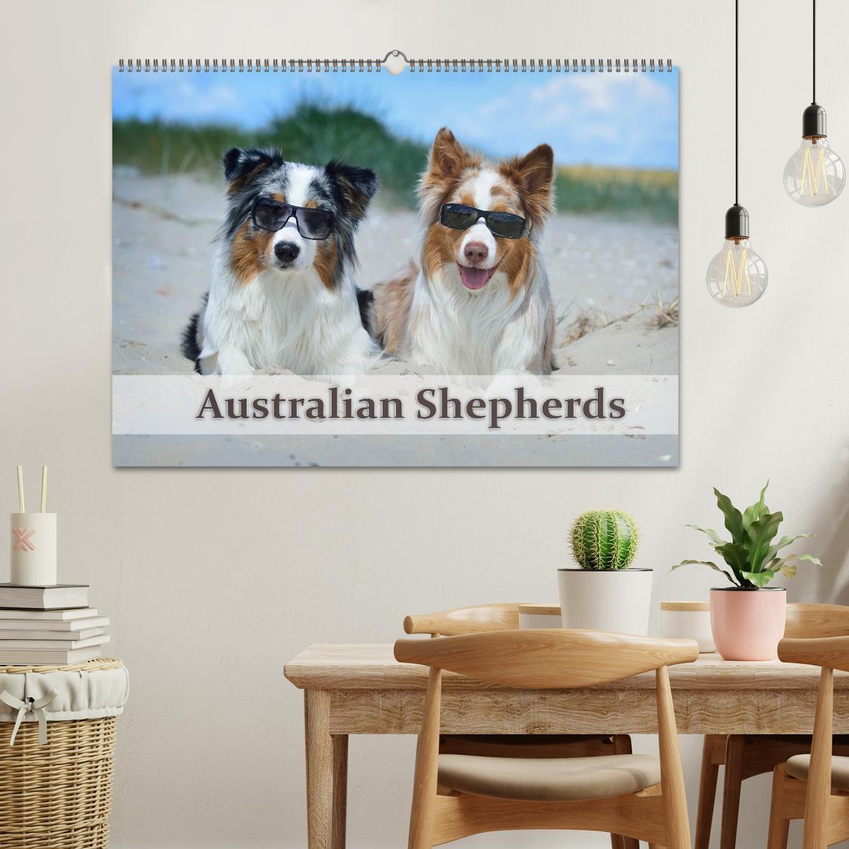 Bild: 9783435808779 | Wunderbare Australian Shepherds (Wandkalender 2025 DIN A2 quer),...