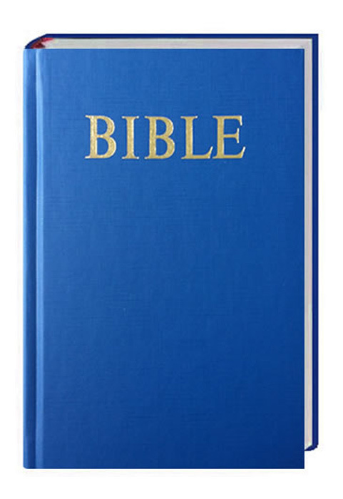 Cover: 9783438081650 | Bibel Tschechisch - Bible | Übersetzung in der Gegenwartssprache