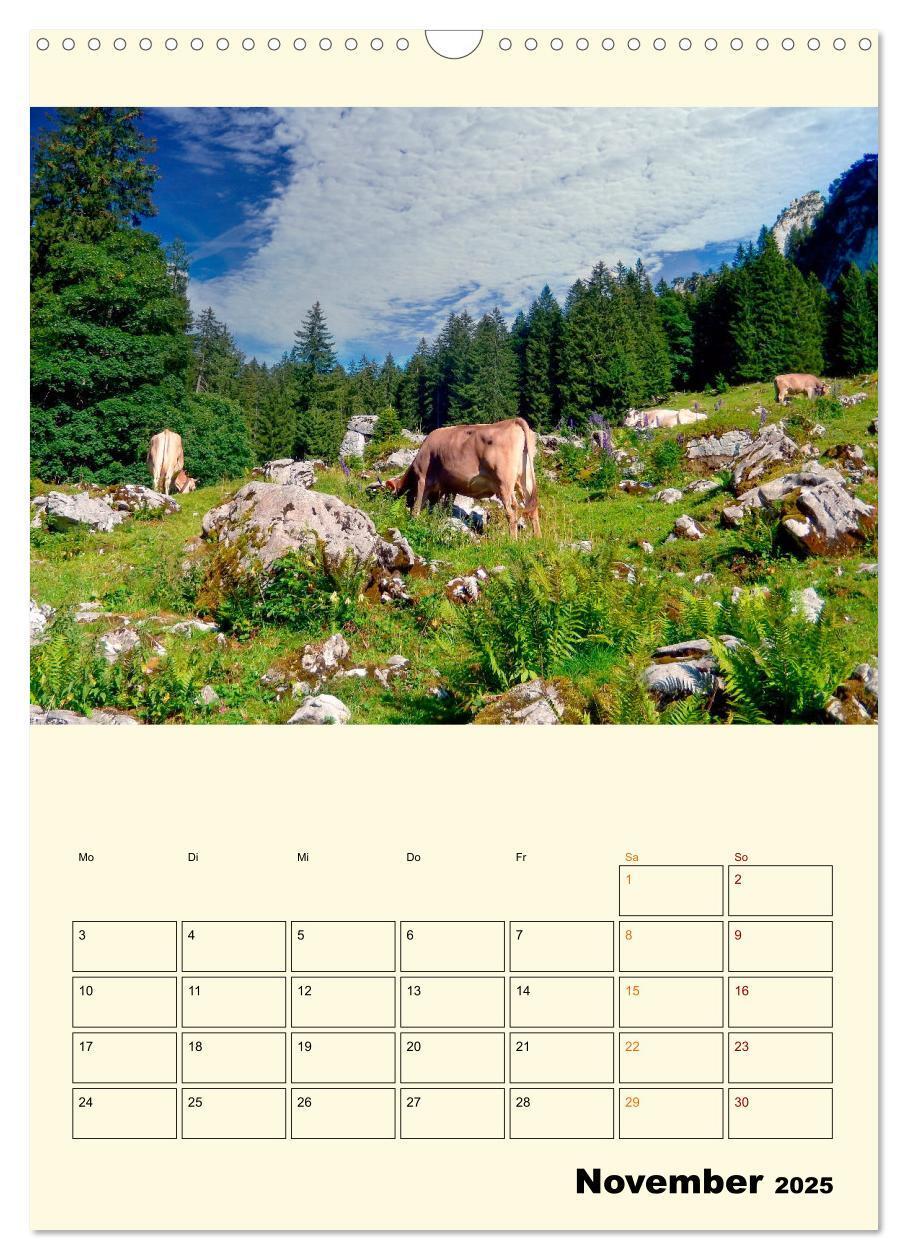 Bild: 9783435903993 | Glückliche Bergkühe (Wandkalender 2025 DIN A3 hoch), CALVENDO...