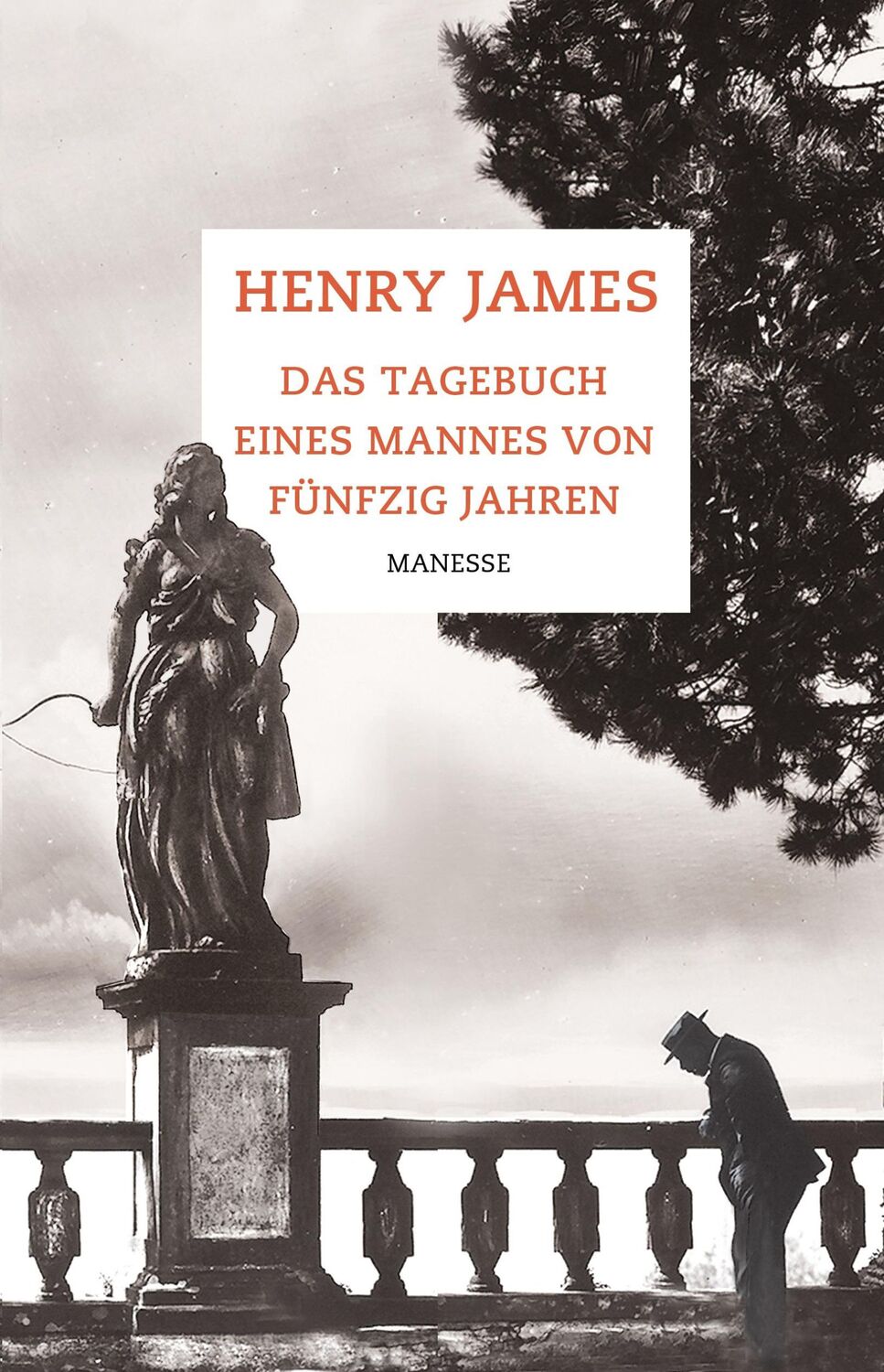 Cover: 9783717523062 | Das Tagebuch eines Mannes von fünfzig Jahren | Erzählungen | James