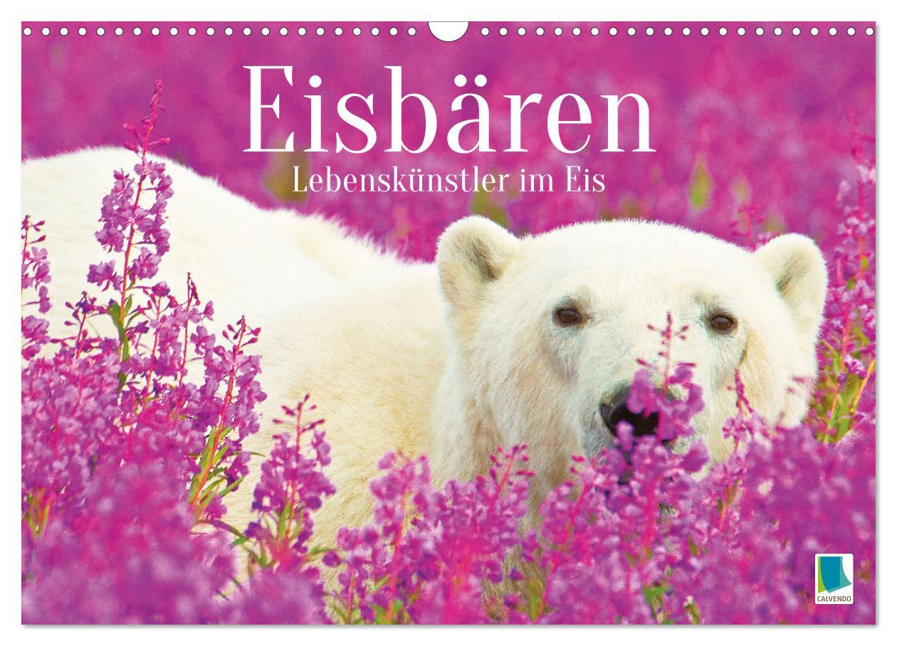 Cover: 9783457140420 | Eisbären: Lebenskünstler im Eis (Wandkalender 2025 DIN A3 quer),...