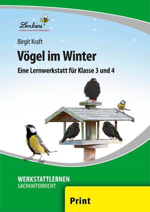 Cover: 9783956649349 | Vögel im Winter (PR) | Grundschule, Sachunterricht, Klasse 3-4 | Kraft