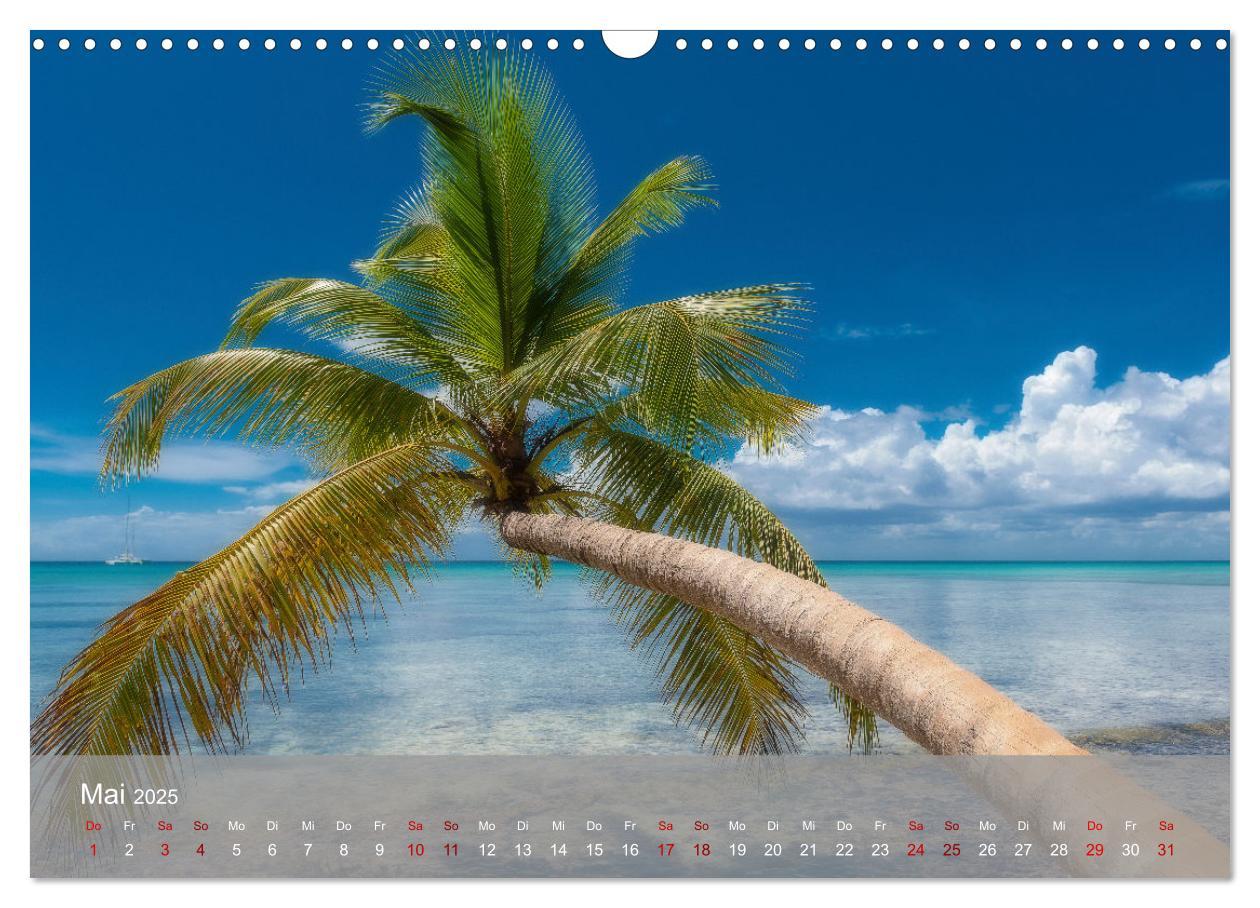 Bild: 9783435022465 | Karibik Traum Isla Saona (Wandkalender 2025 DIN A3 quer), CALVENDO...