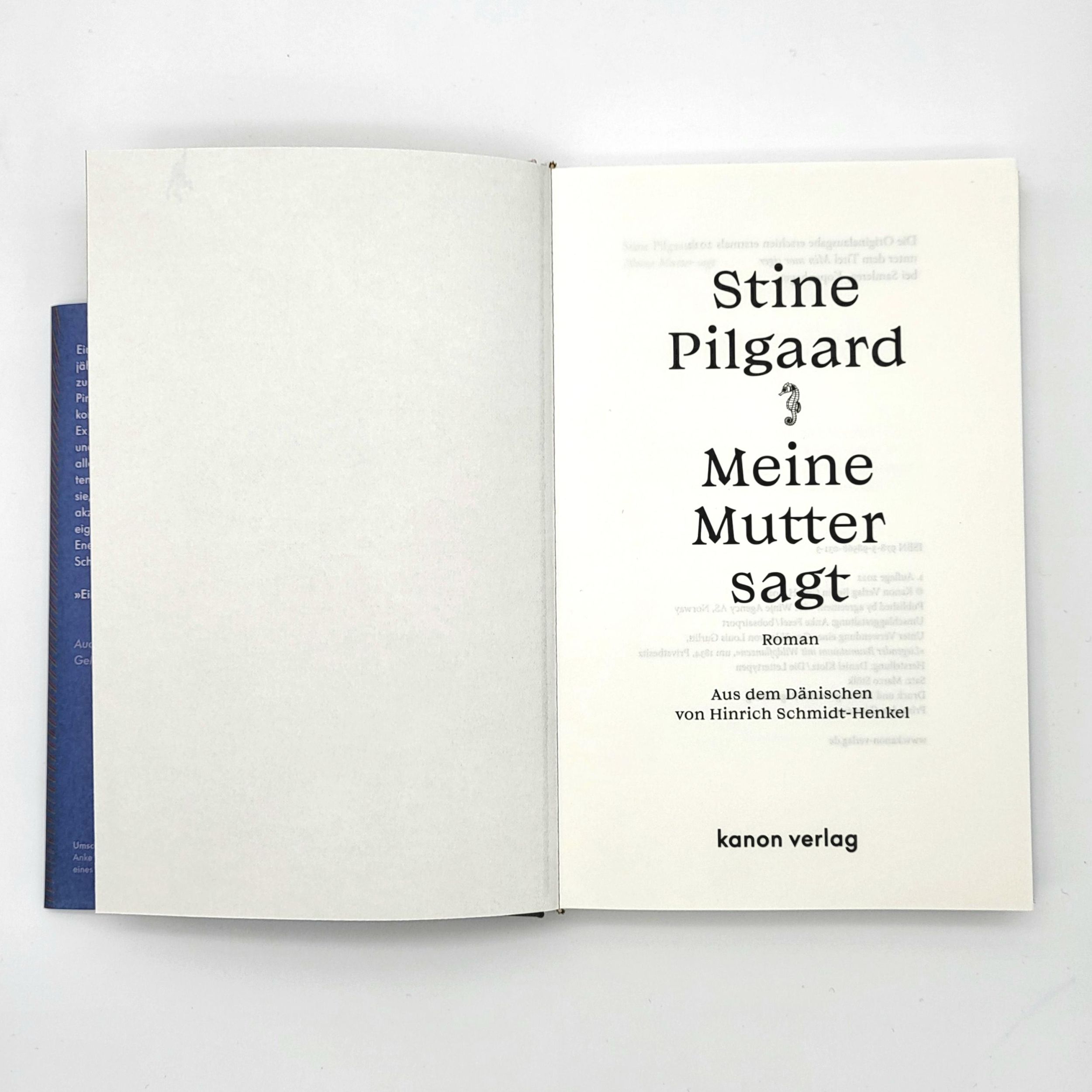 Bild: 9783985680313 | Meine Mutter sagt | Roman | Stine Pilgaard | Buch | 192 S. | Deutsch