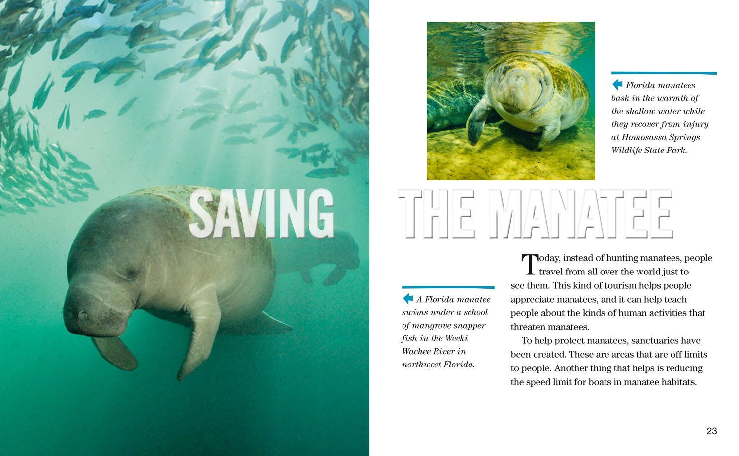 Bild: 9780008358051 | Face to Face with Manatees | Level 5 | Brian Skerry | Taschenbuch